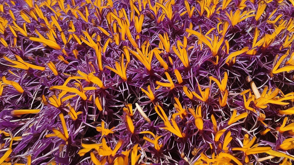  Saffron